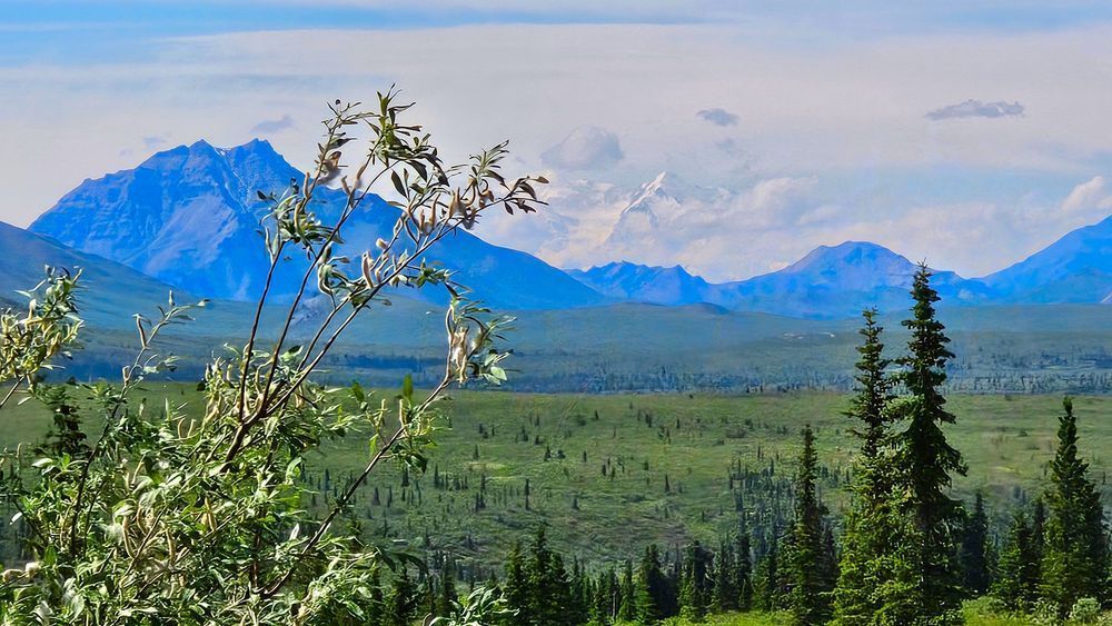 Denali Mountain Peak Through The Clouds Photography Art | InYourBackyard
