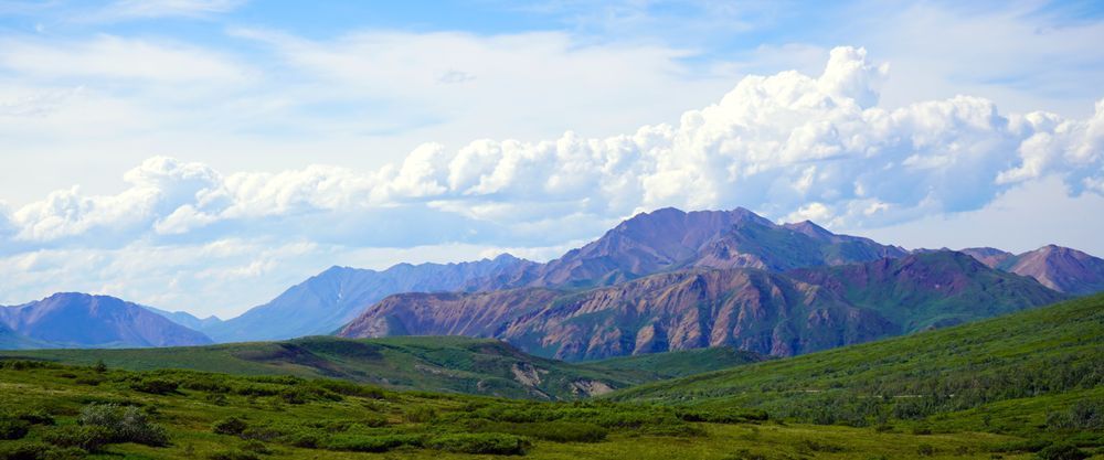 Denali National Park Alaska Photography Art | InYourBackyard