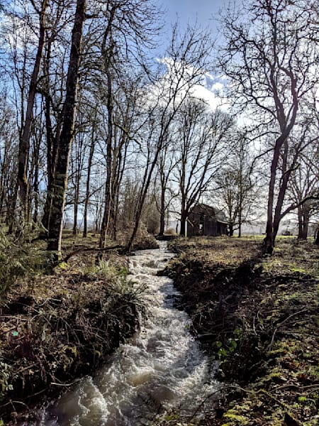 Dickie Creek Country Photography Art | InYourBackyard