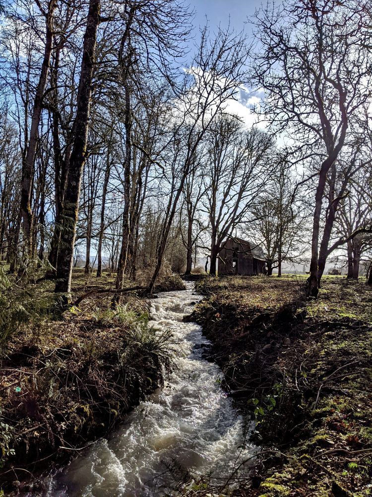 Dickie Creek Country Photography Art | InYourBackyard