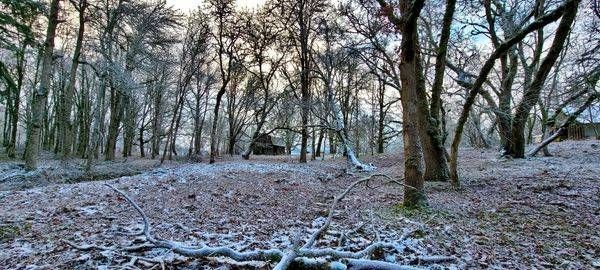 Dickie Prarie Barn Winter Oregon Photography Art | InYourBackyard