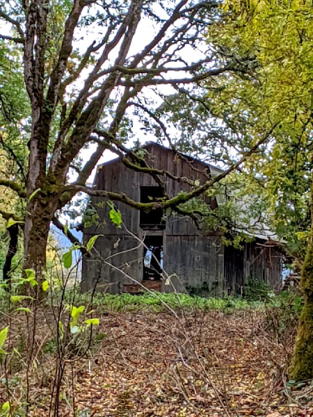 Dickie Prarie Barn Photography Art | InYourBackyard