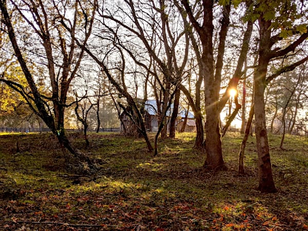 Dickie Prarie Barn In Molalla Photography Art | InYourBackyard