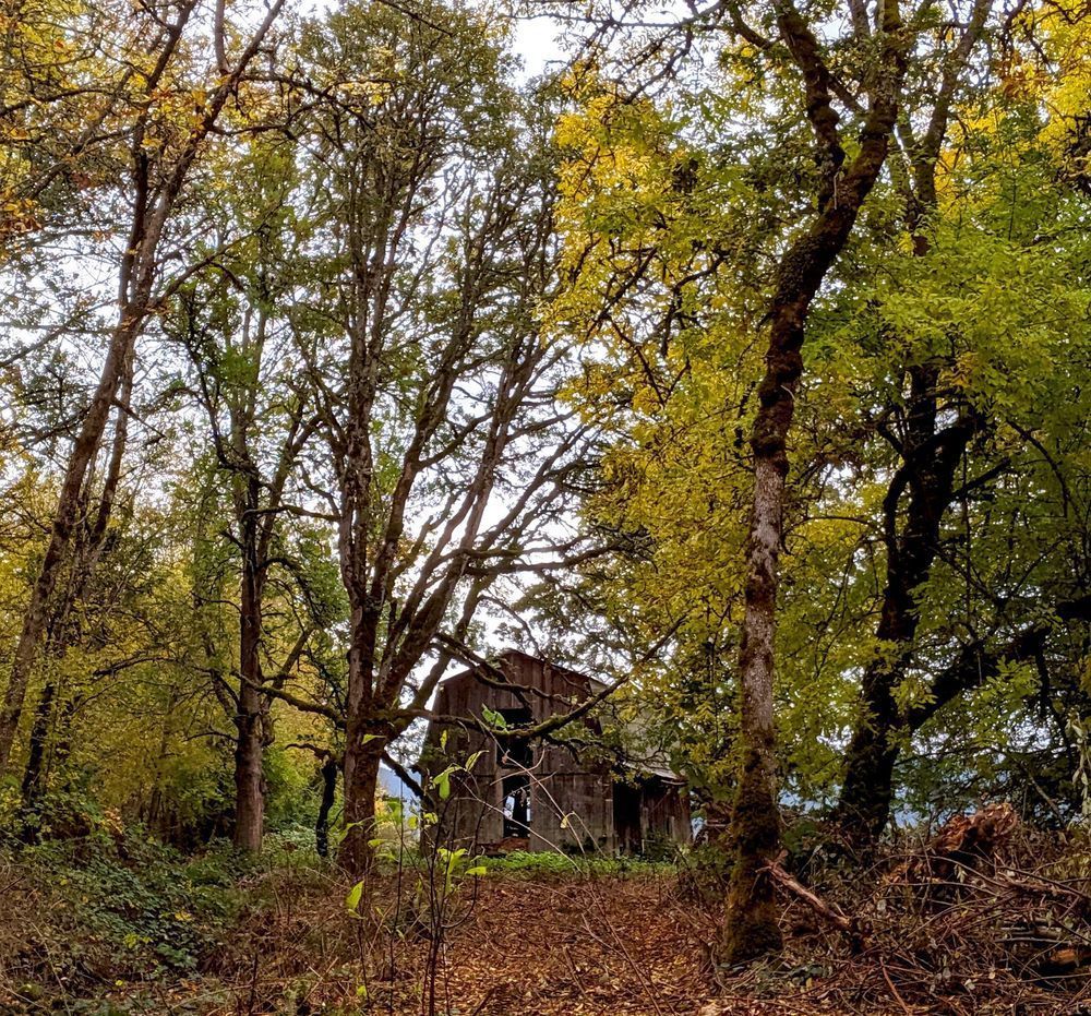 Dicky Prarie Barn Homestead Photography Art | InYourBackyard