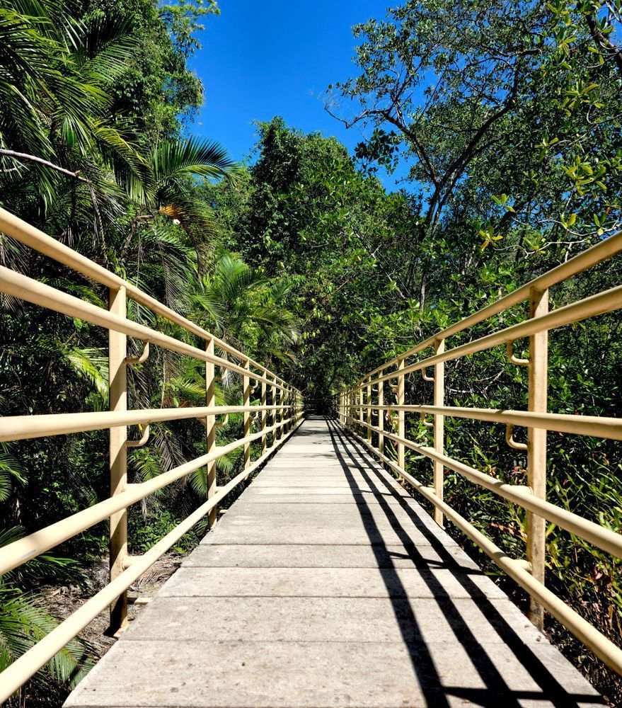Jungle Bridge Costa Rica.Jpg Photography Art | InYourBackyard