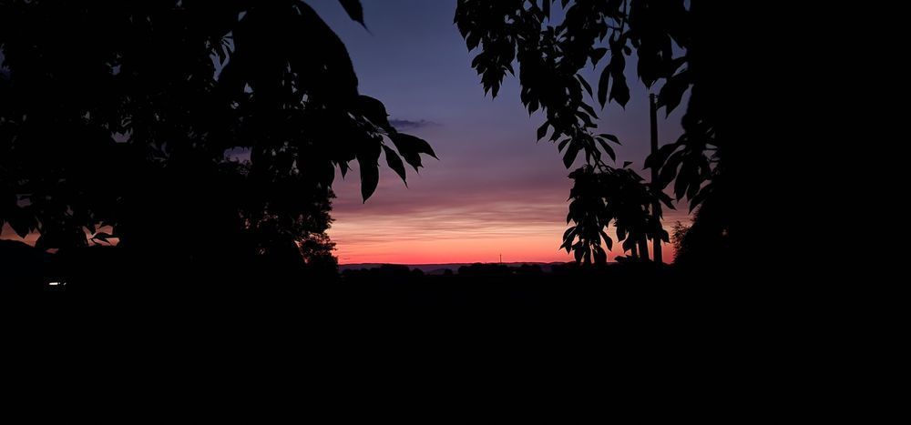 Jungle Hawaiian Sunset Photography Art | InYourBackyard
