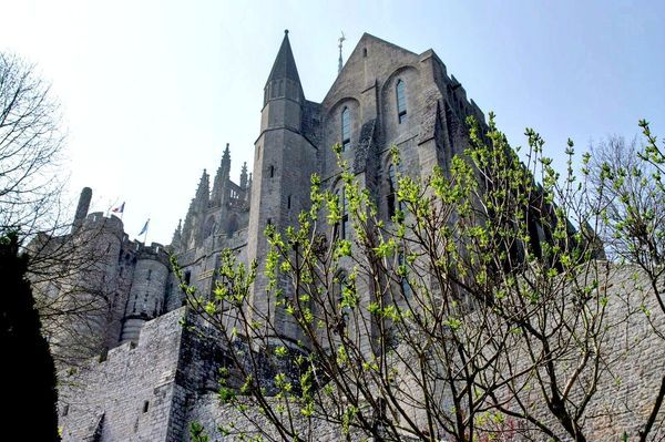 Castles, Coasts & Jungles Abroad