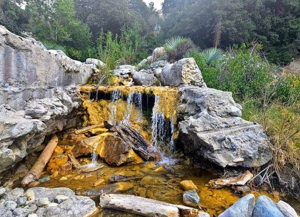 Industrial Forest   San Gabriel Mountains Photography Art | InYourBackyard