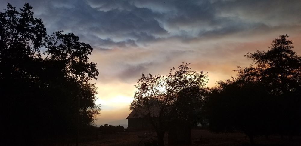Night Sky Barn Sillouette Photography Art | InYourBackyard