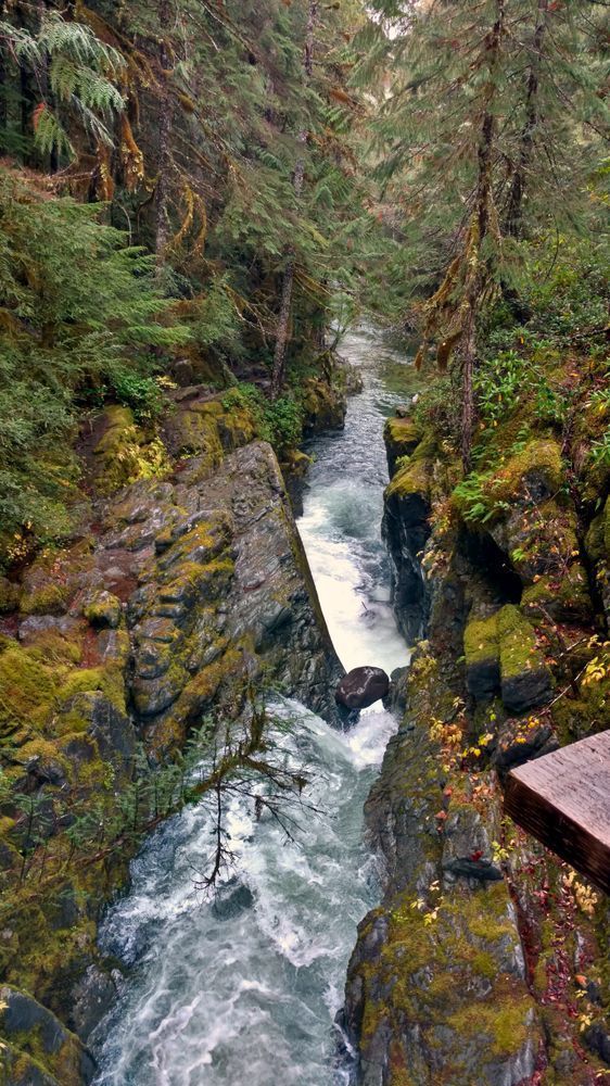 Opal Creek Wilderness Along The Creek Photography Art | InYourBackyard