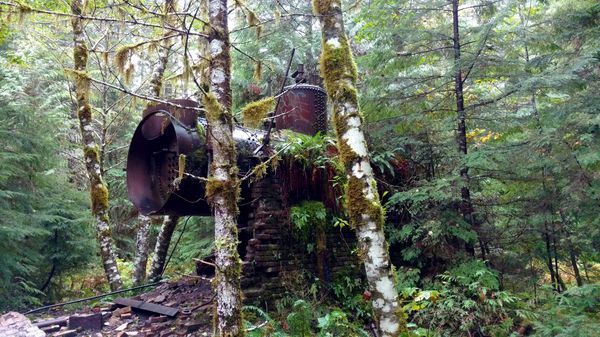 Rustic & Man-Made in Nature