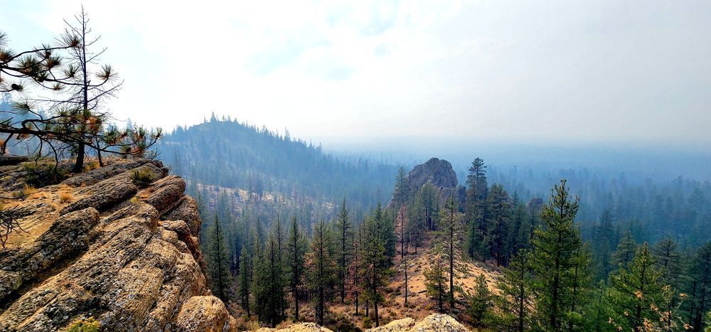 Landscape Of Central Oregon Forest Photography Art | InYourBackyard