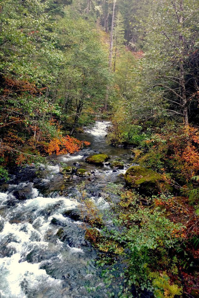 Little North Santiam River   Opal Creek Photography Art | InYourBackyard