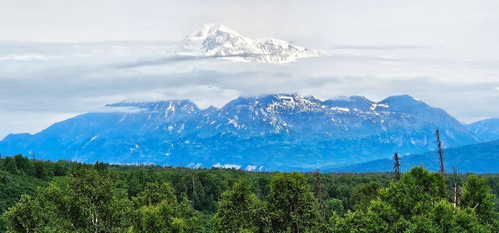 Mt Denali Above The Clouds Photography Art | InYourBackyard