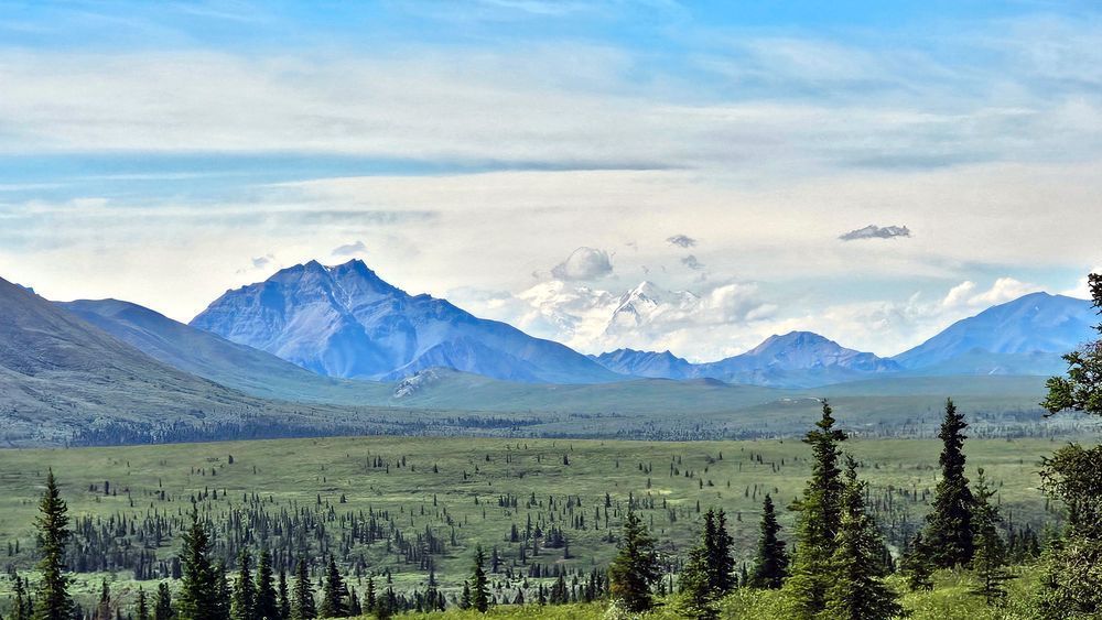 Mt Denali Photography Art | InYourBackyard
