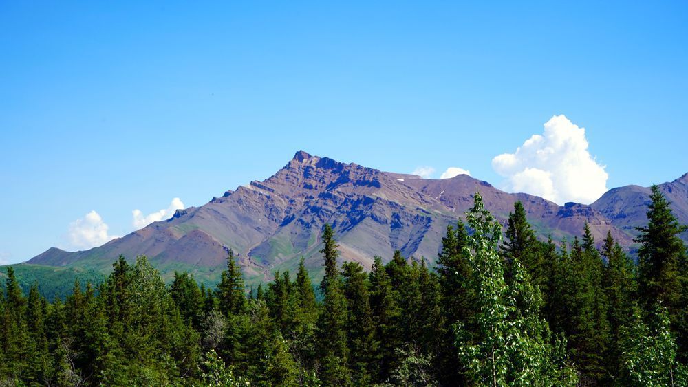 Mt Healy In Denali National Forest Alaska Photography Art | InYourBackyard