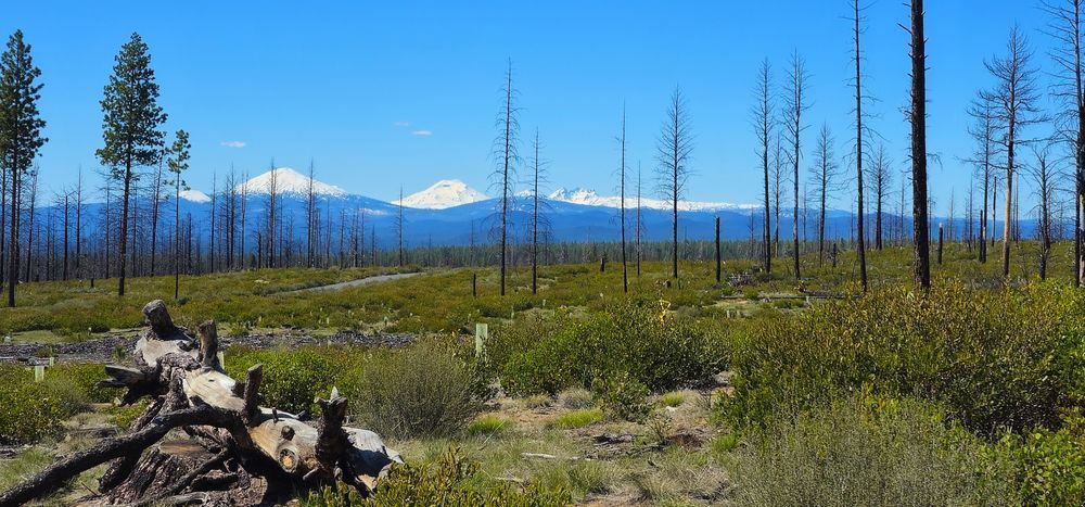 Mt Bachelor And Three Sisters Mountains Photography Art | InYourBackyard