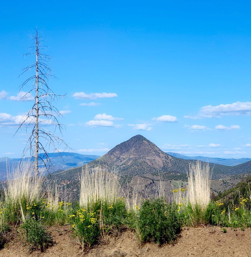Mountain In The Ochoco National Forest Photography Art | InYourBackyard