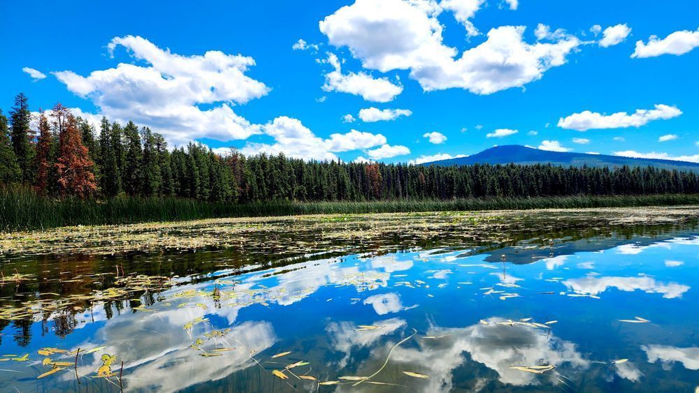 Reflections   Davis Lake Photography Art | InYourBackyard