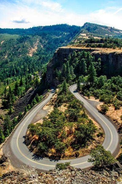 Rowena Ridge Photography Art | InYourBackyard