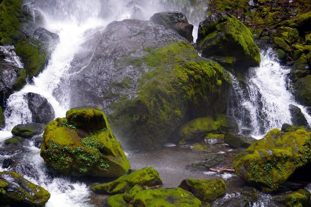 Rock Base At Grotto Falls Photography Art | InYourBackyard