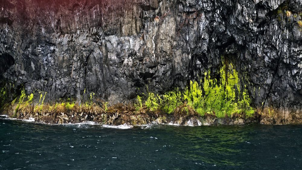 Rock Life In Resurrection Bay Photography Art | InYourBackyard