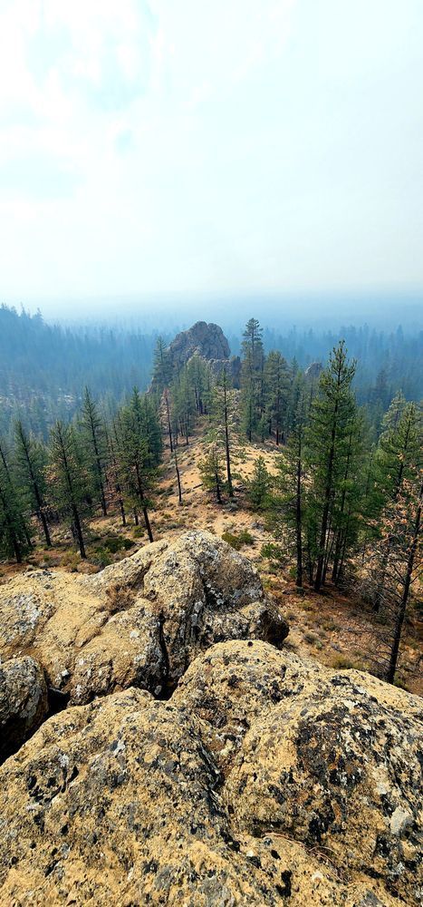 Rocky Forest View In Central Oregon Photography Art | InYourBackyard