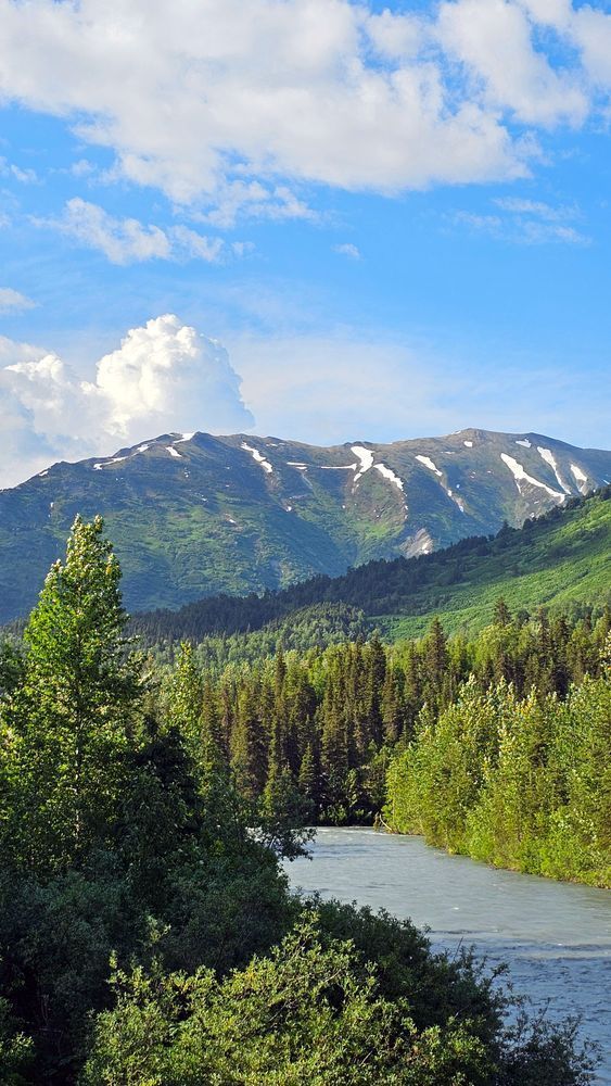 River View In Alaska Photography Art | InYourBackyard