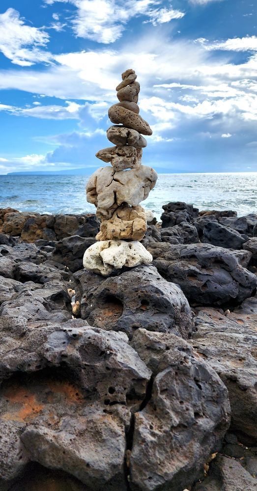 Stacked Beach Coral Photography Art | InYourBackyard