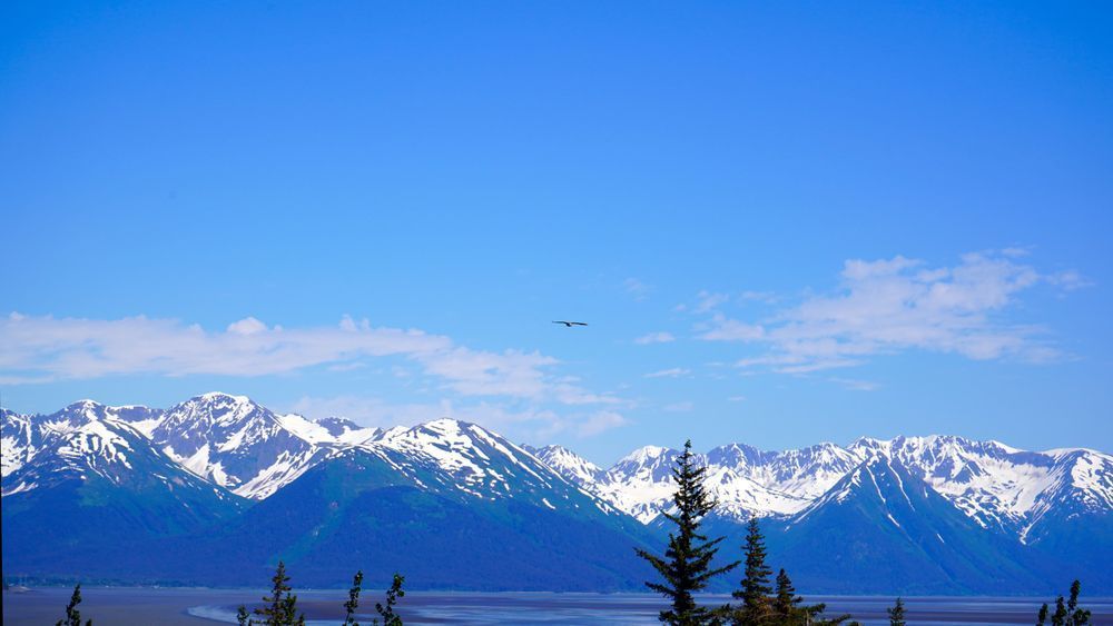 Scenic Snow Capped Mountains In Alaska Photography Art | InYourBackyard