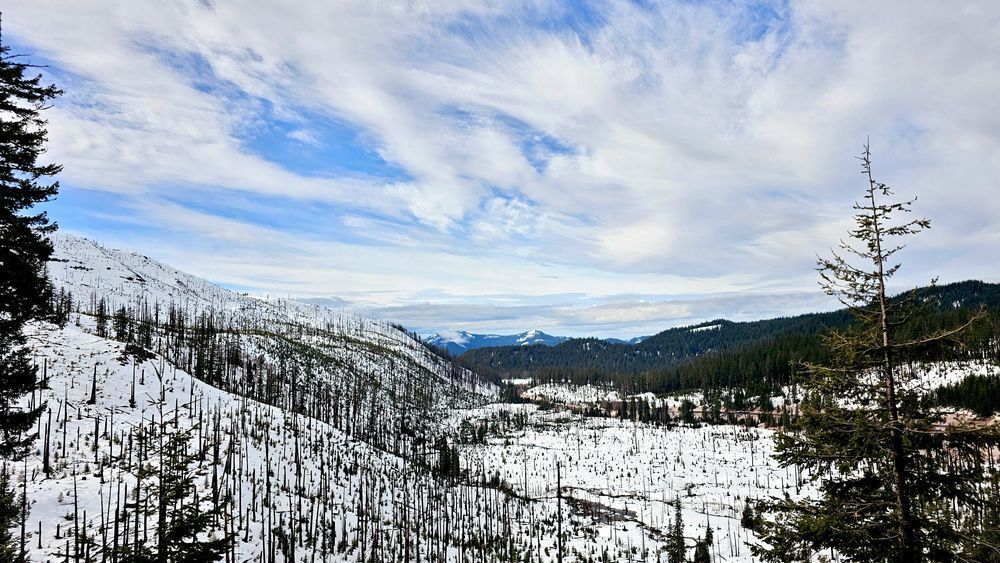 Santiam Pass Looking West Photography Art | InYourBackyard