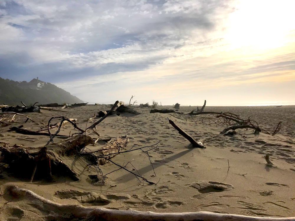 Sandy Beaches In Lincoln City Or Photography Art | InYourBackyard