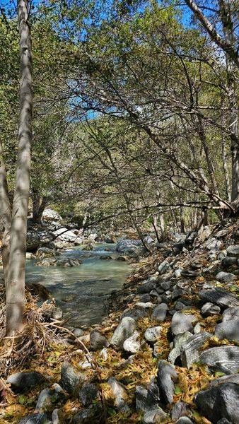 San Gabriel River Photography Art | InYourBackyard