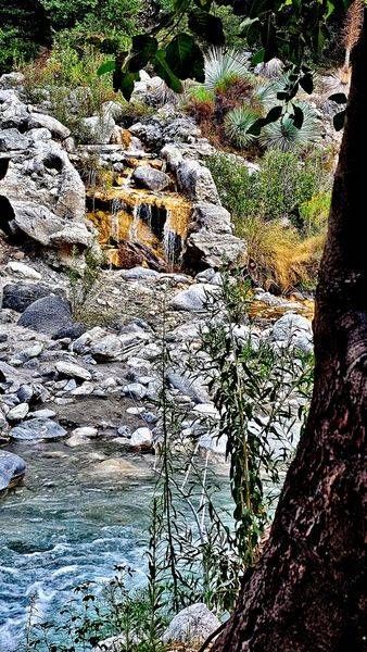 San Gabriel River Photography Art | InYourBackyard