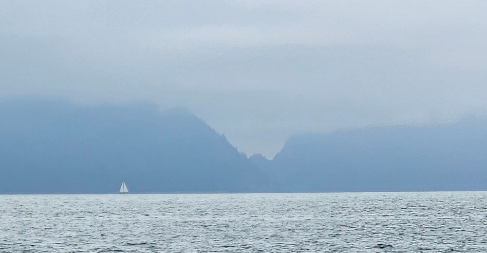 Sailboat In Resurrections Bay Photography Art | InYourBackyard