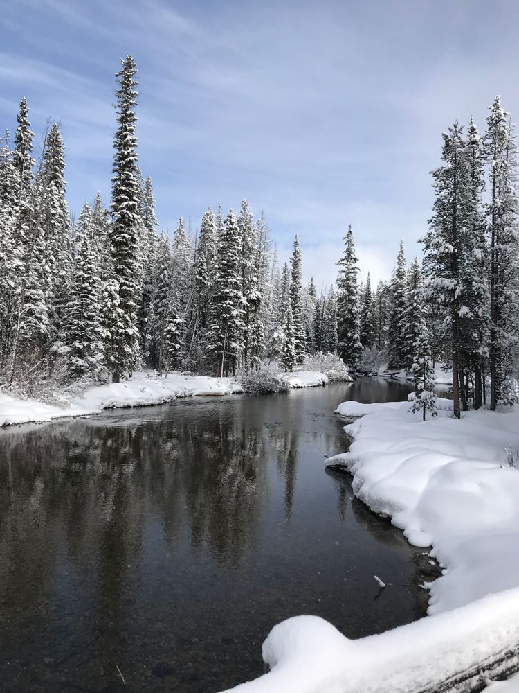 Snowy Day On The Deshutes River Photography Art | InYourBackyard