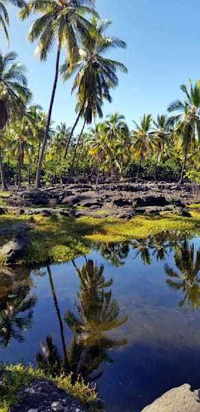 Puʻuhonua O Hōnaunau National Historical Park On The Big Island Of Hawai Photography Art | InYourBackyard