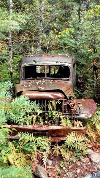 Vintage Car Surrounded By Forest   Jawbone Flats Photography Art | InYourBackyard