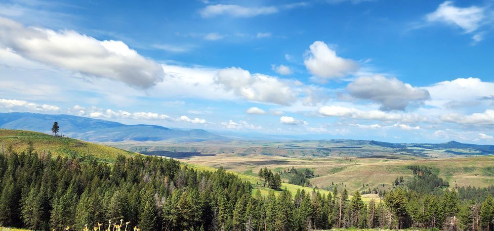 Wallowa Whitman National Forest Hillsides Photography Art | InYourBackyard
