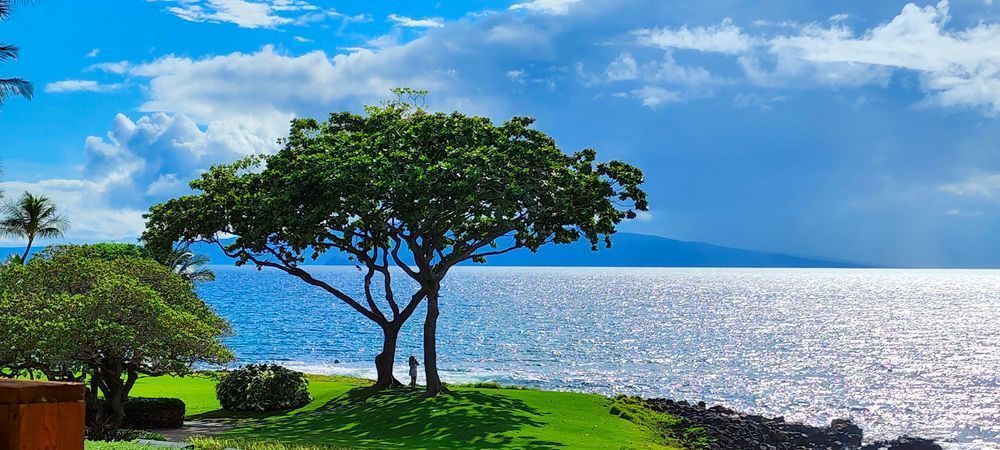 Wailea Path Beach Landscape Photography Art | InYourBackyard