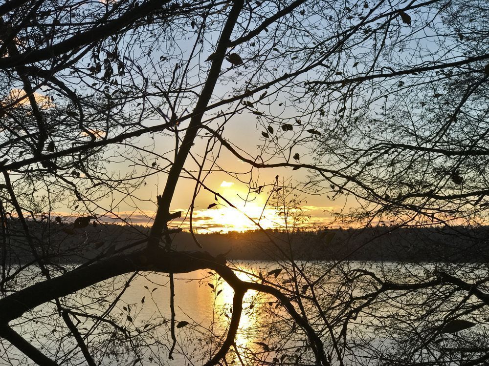 Whidbey Island   Sunset Through Trees Photography Art | InYourBackyard