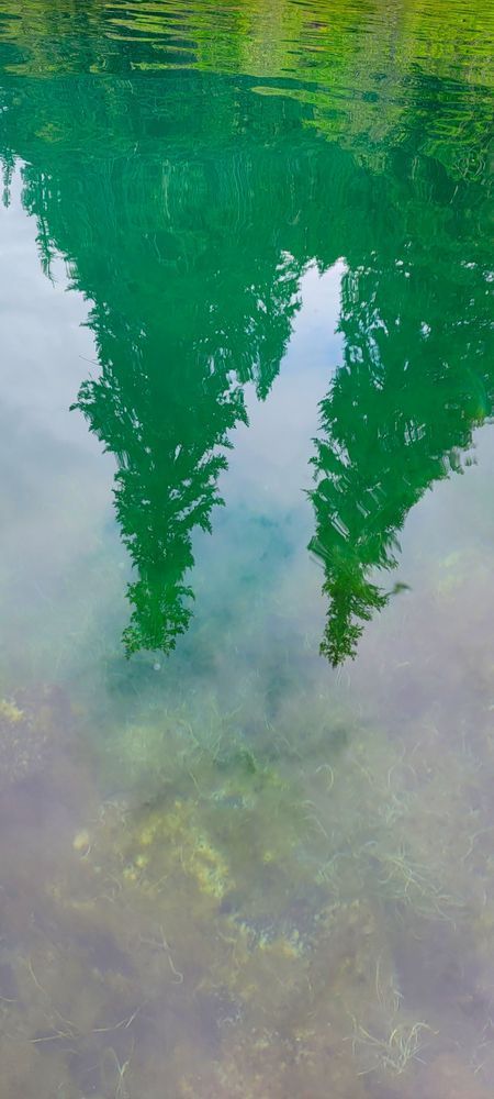 Tree Reflections At Clear Lake Photography Art | InYourBackyard
