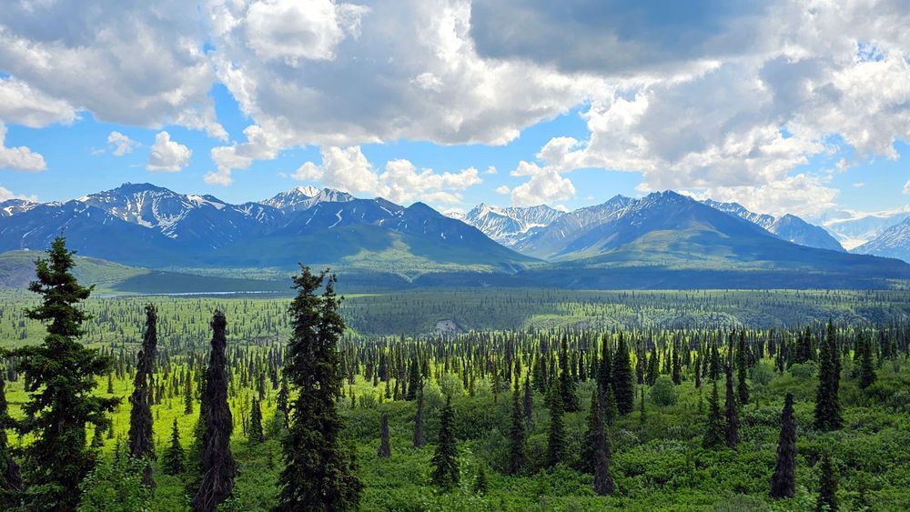 Taiga Forest And Alaska Range Photography Art | InYourBackyard