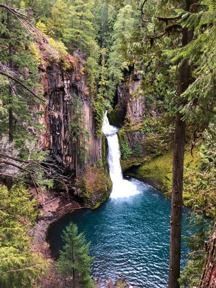 Toketee Falls On High Photography Art | InYourBackyard