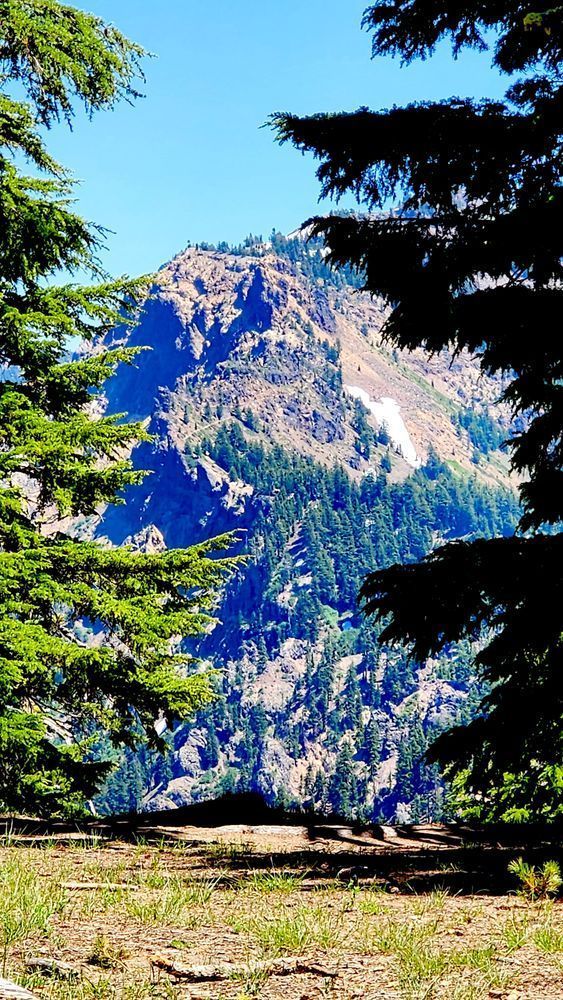 Through The Trees   Crater Lake Photography Art | InYourBackyard
