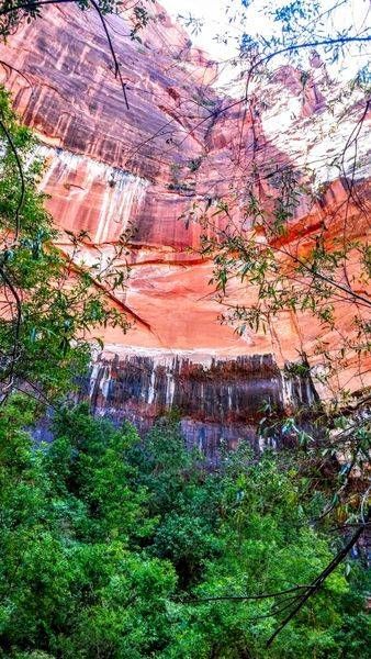Zion National Park Red Rocks Photography Art | InYourBackyard