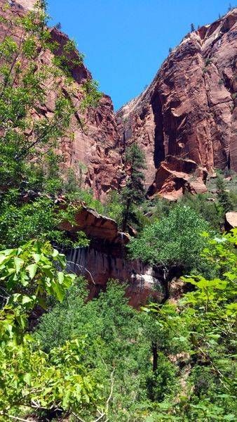 Zion Rock Mountains Blanketed Trees Photography Art | InYourBackyard