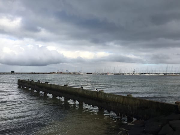 Line Up Brighton Foreshore Photography Art | Bayside Musings