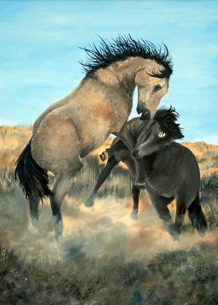 Horses