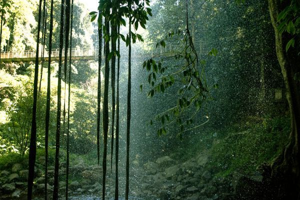 Waterfalls